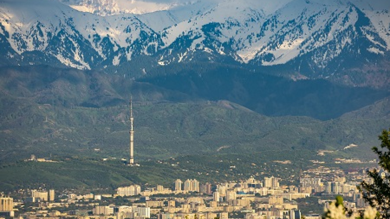 Секс Алмата Бесплатно