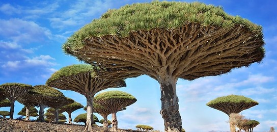 Жоғары сапалы оятатын порно