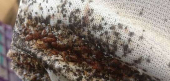 Порно студия Санкт-Петербург