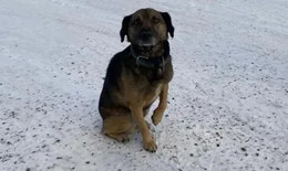 ескі эротикалық суреттер