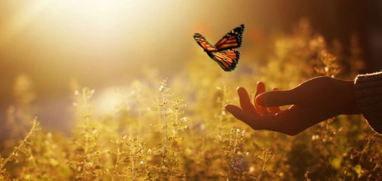 Людмила Спасова жалаңаш