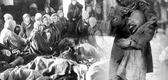 Әдемі попокатепетлдің жынысы