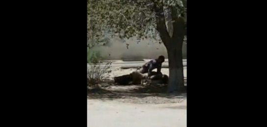 Желіде ер адаммен жыныстық қатынас