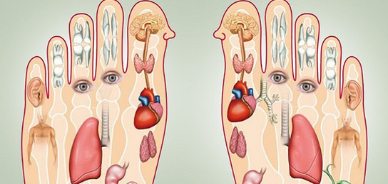 Әйелдердің дене жынысы