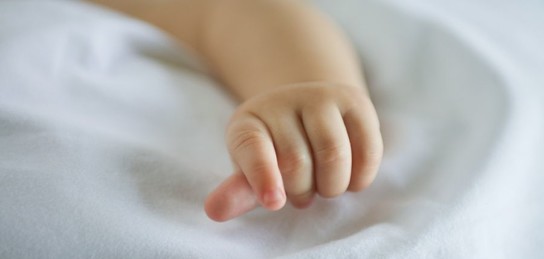 Емшек ұшын шешіп, ана сүтіне жабыстым