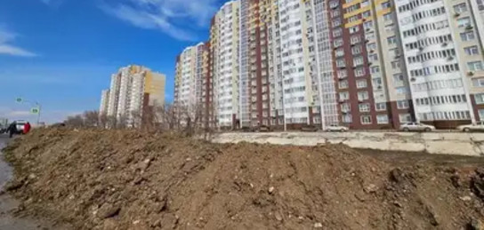 Бастықты желіде жалаңыз