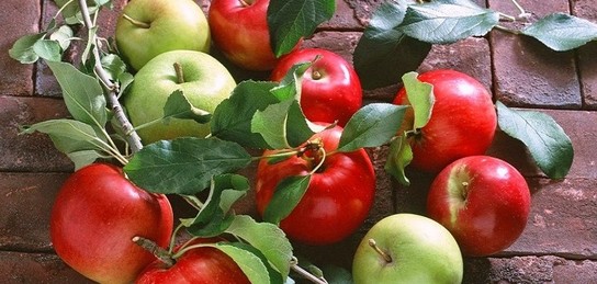 Әжесі мен немересінің порно комикстері Қорқынышты порно: Tentacle Demon Fucks Retro Movie