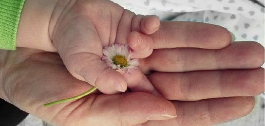 Сперматозоидпен жабылған толық жамбастардың фотосуреттері