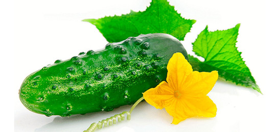 Ағаш эротикалық мүсіндердің фотосуреттері Орынбордағы секс