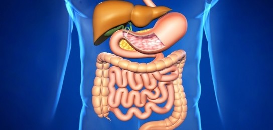 Татьяна Арномен порно