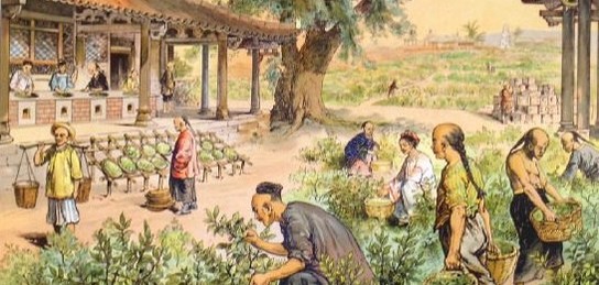 Орыс балапандары порно видеоға басымдық береді