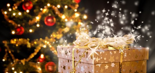 Мартина Хингистің секс фотосуреті