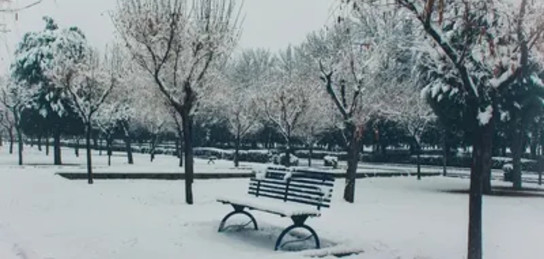 Одесса түнгі клубындағы порно Жыныстық бейнені бұрмалау