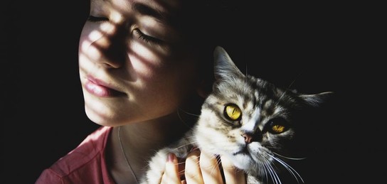 BBC секс туралы