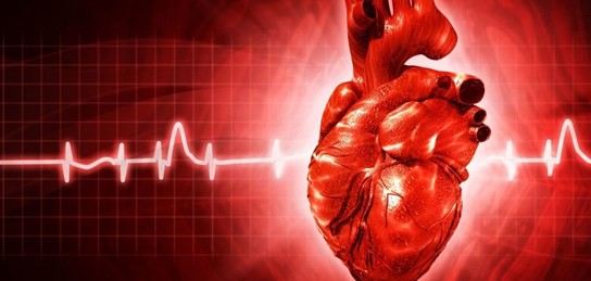 Бал залында жыныстық қатынасқа қараңыз, медбике трахает болады