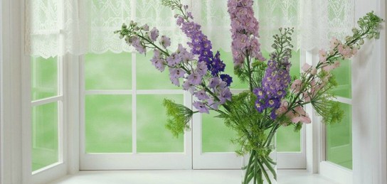 жігіттер қыздарды сиқырлайды