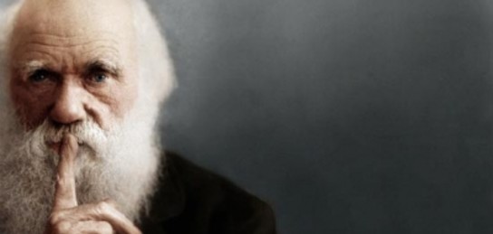 Ауған секс видео