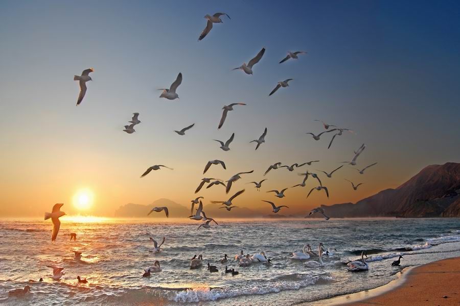 Порно жұлдыздары xxxl