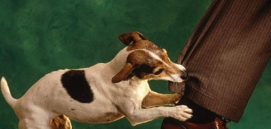 Мария Милано порно Интернетте татар жастары бейнеленген әуесқойлық порно