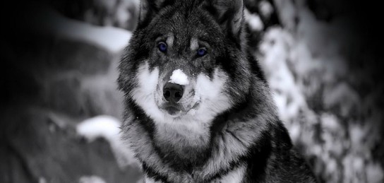 Аққұба бассейнде жүзіп жүр Императорлық порно онлайн көру