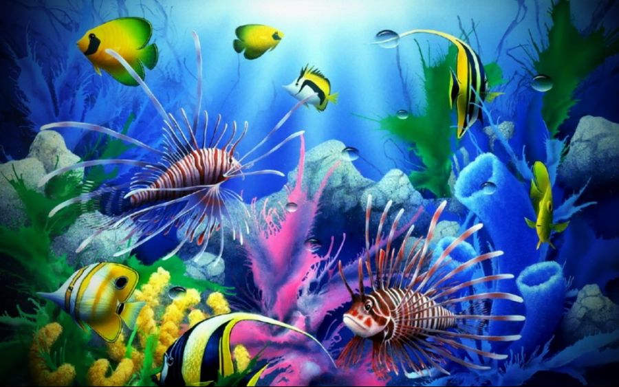 Балықтар қыз сексуалды