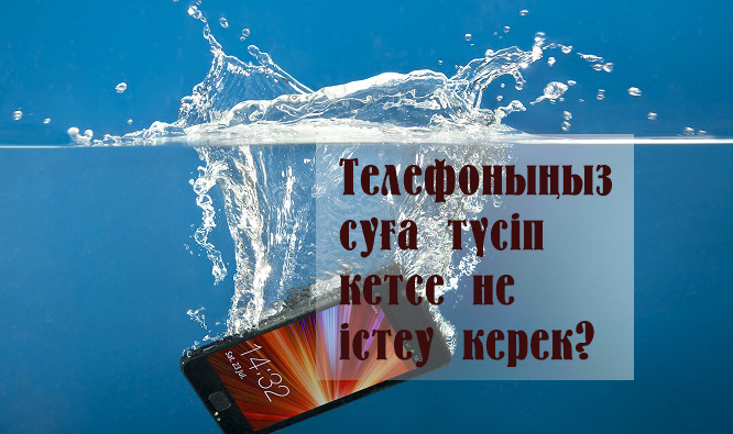 Лейла мен Сильвия темір торы Өртенген есек фотосы