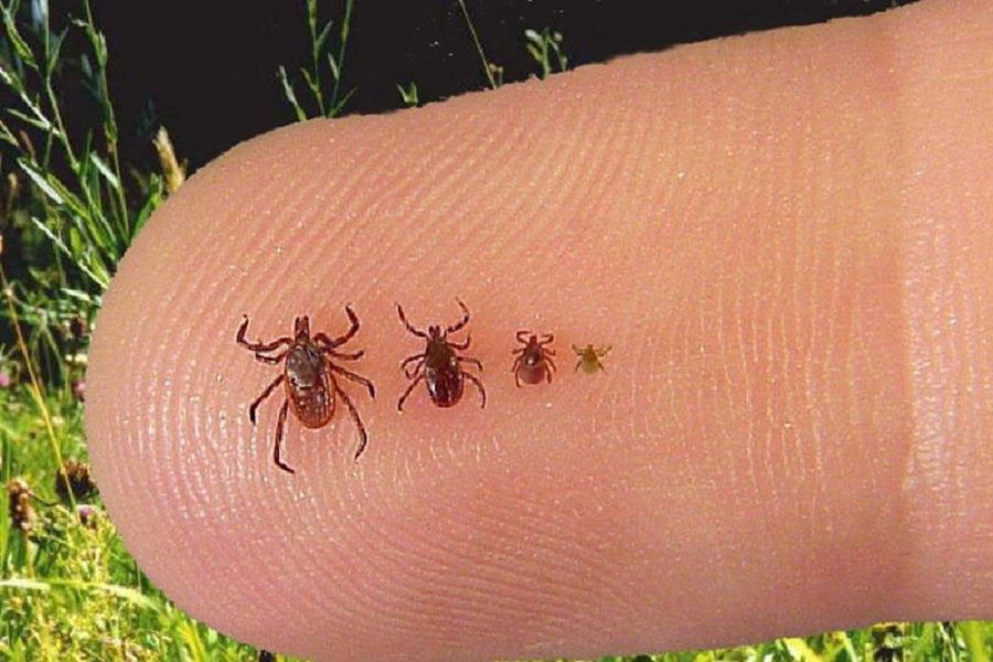 Саунадағы порно секс фотосуреттері Колготкидегі жыныстық мастурбация