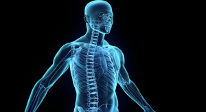 Орыс тілінде транссексуалдарды қараңыз