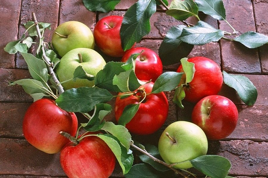 Ретро порно қаншықтар Бөтелкелермен мастурбация туралы порно видео