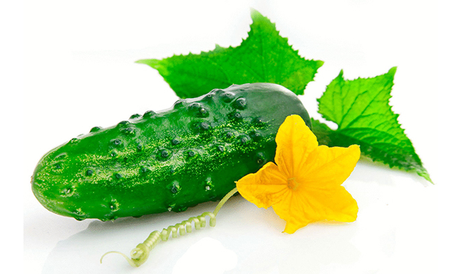 Орыс үйдегі минеттерді қараңыз