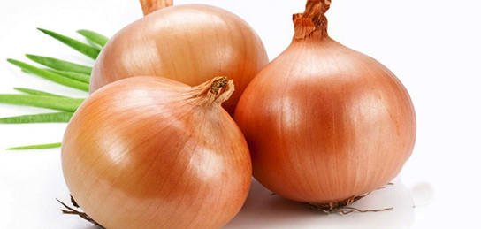 Эротикалық жігіт қыздардың алдында сиқырды сорады