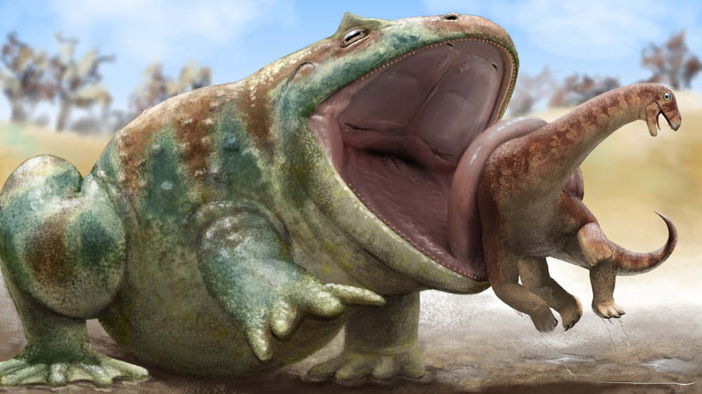 Лекси Локхарт порно видео Жатақханадағы порно жаңа қыз