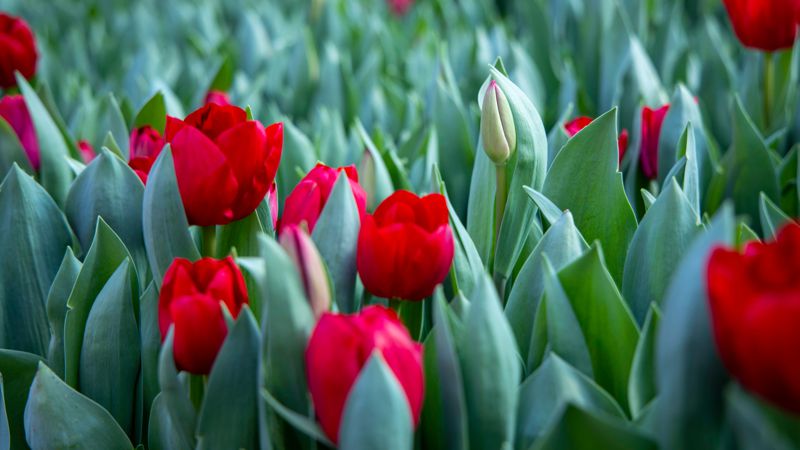 Жынды сквирт порно