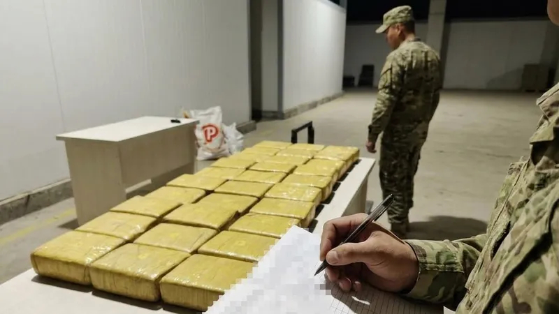 Наркотики на 300 тыс. долларов: Казахстан, Россия и Узбекистан провели совместную операцию
