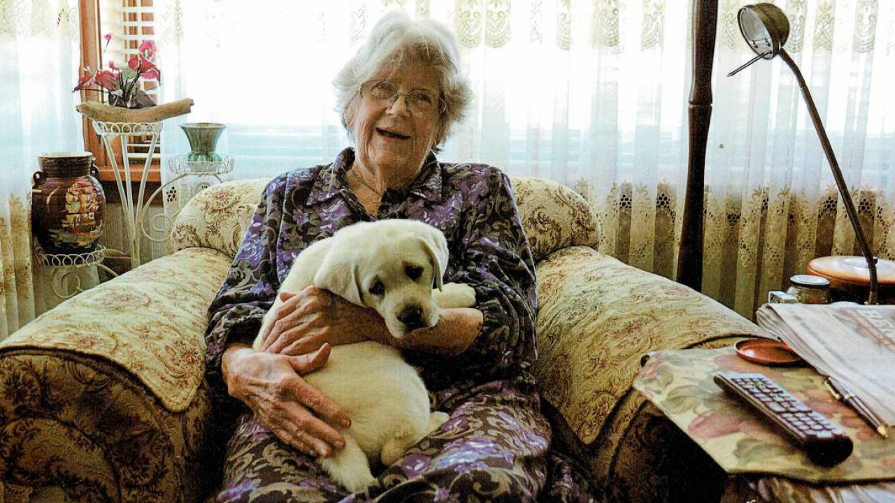 Старушка миллионерша. Австралийская бабушка. Бабушка завещала картины на 2 млн. Долларов. Навещать бабушку на английском
