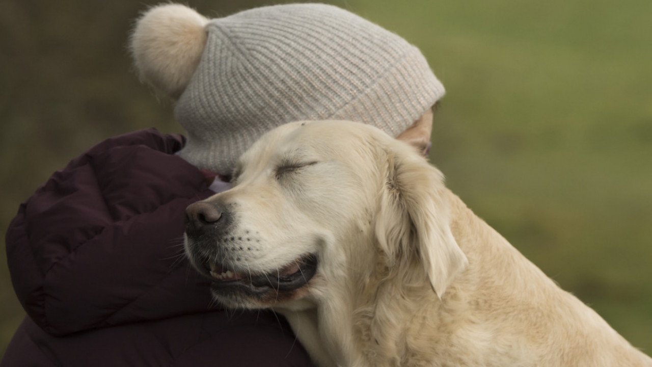 Жыныстық қатынастағы асыл ханымдар Үйдегі хардкор фотосуреттері
