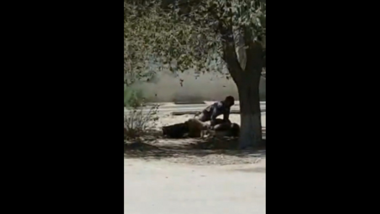 Ең керемет есектер