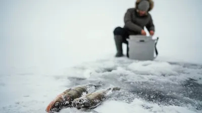 На реке Урал возникла опасная ситуация – полиция обратилась к жителям Атырауской области