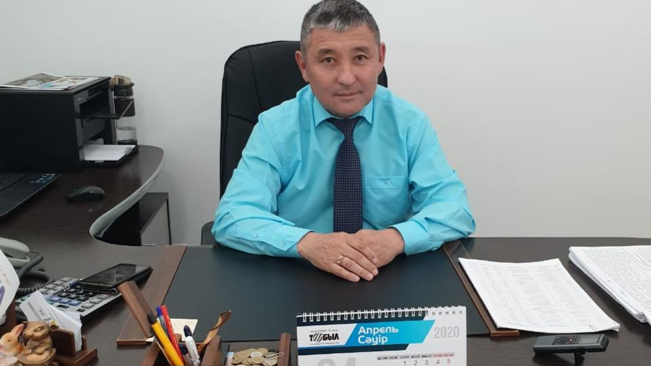 Кордай улица. Тоо кт. Тоо кт. Тоо кт. Травяной и зерновой откорм разница.