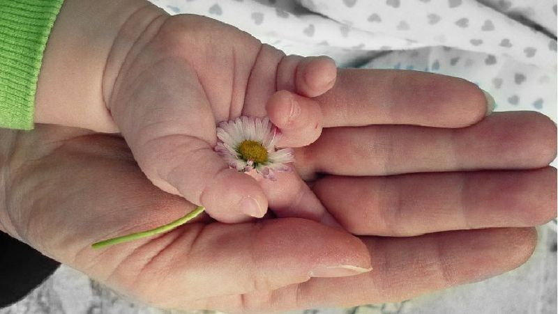 Эротикалық сауалнамалар