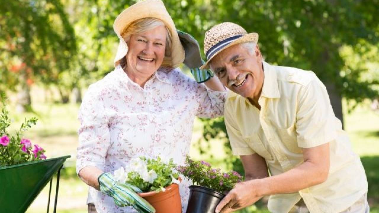 Пенсионеры в огороде