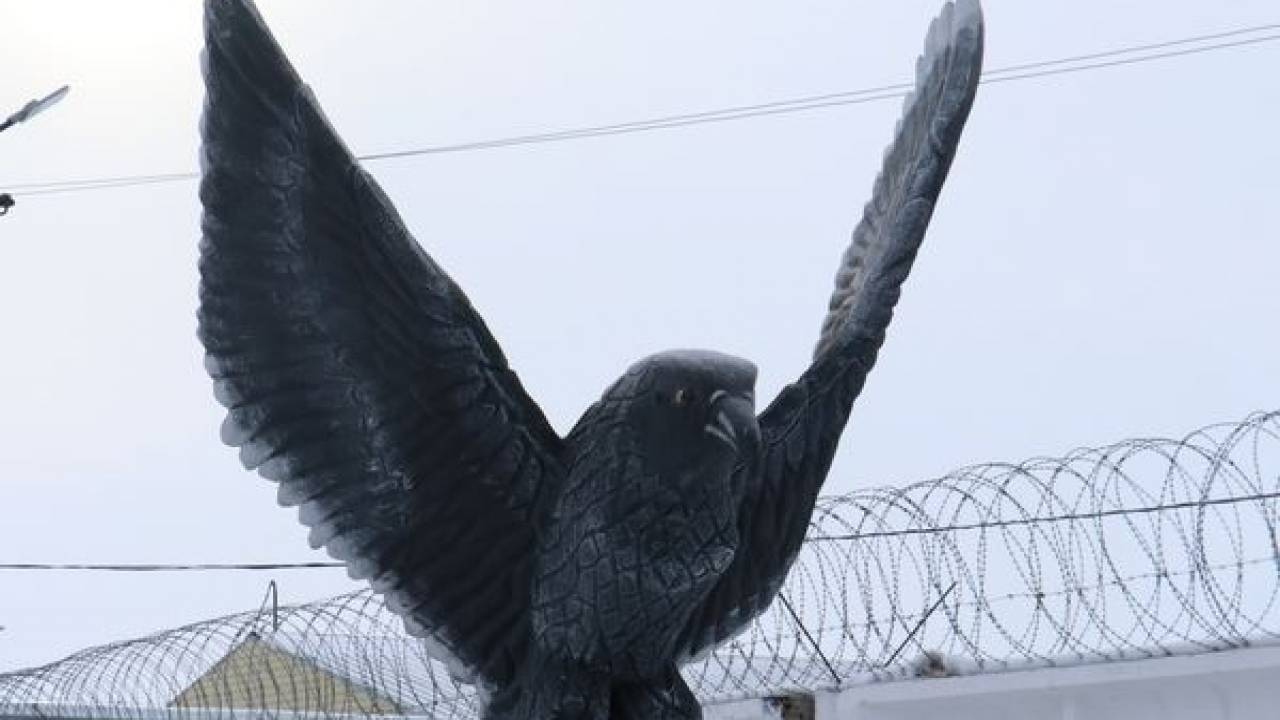 Ик-56 черный беркут. Черный беркут читать. Черный беркут читать. Ик-56 черный беркут. Колония черный беркут свердловская область.