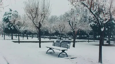 Анимациялық порно позалар