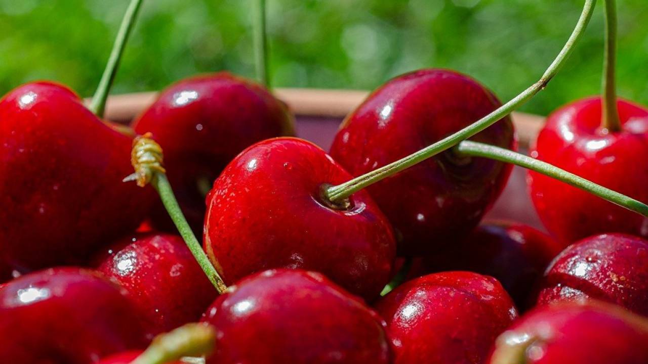 Чем полезна черешня. Химический состав черешни. Полезные ягоды. Спелая черешня. Можно ли есть черешню при диабете.