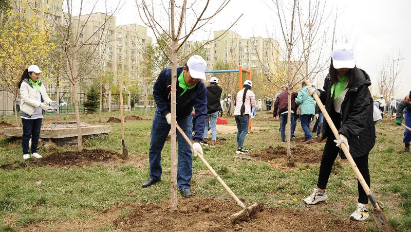 Зеленый алматинец. Высадка деревьев в Казахстане. Акция по посадке деревьев. Приглашение на субботник. Субботник фото экология озеро.