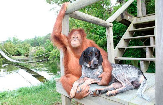 Онлайн фильмдердің порно пародияларын қараңыз