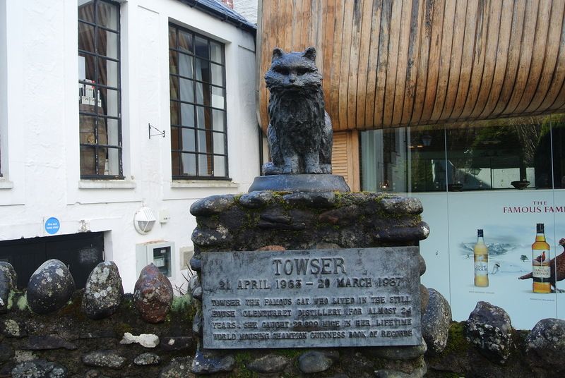 Ескі мысықты блять