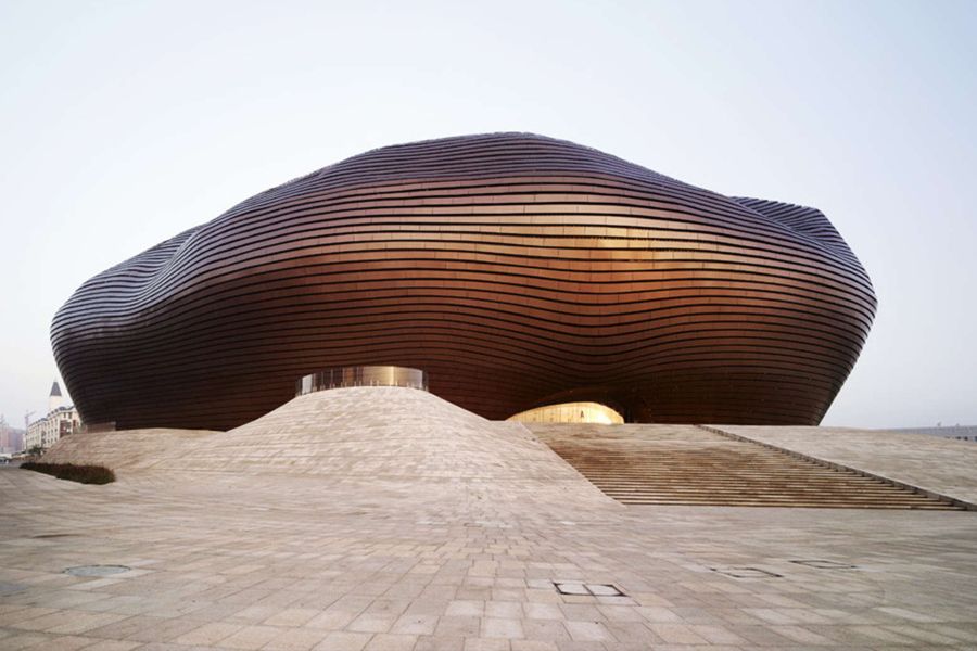 Ол көшеде мастурбаторға қарап тұр