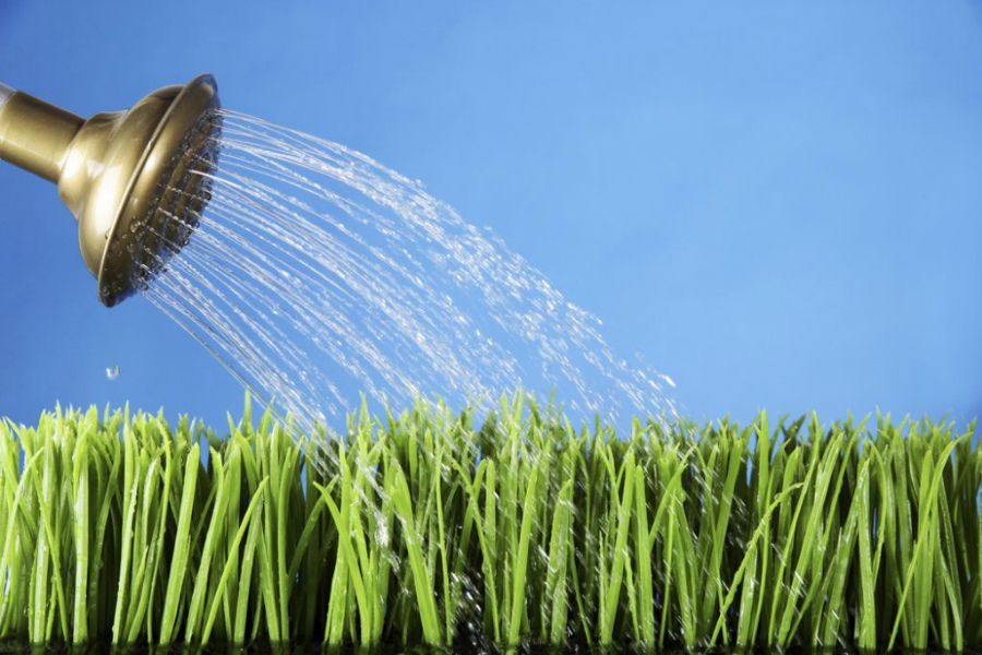 Ануста қарт әйелдер