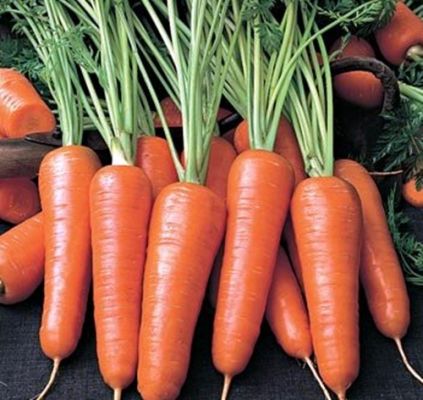 Ретро лесбиянка белдігі